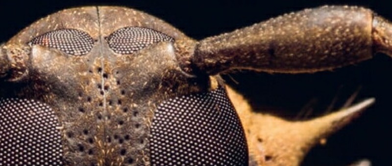 �u���^�j�J�E�u�b�N�X�F���̒a�����猻��܂�138���N�̂��ǂ���S�ȏ��T�C�g